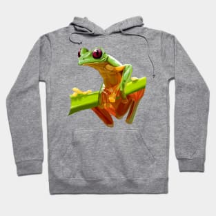 Tree Frog Hoodie